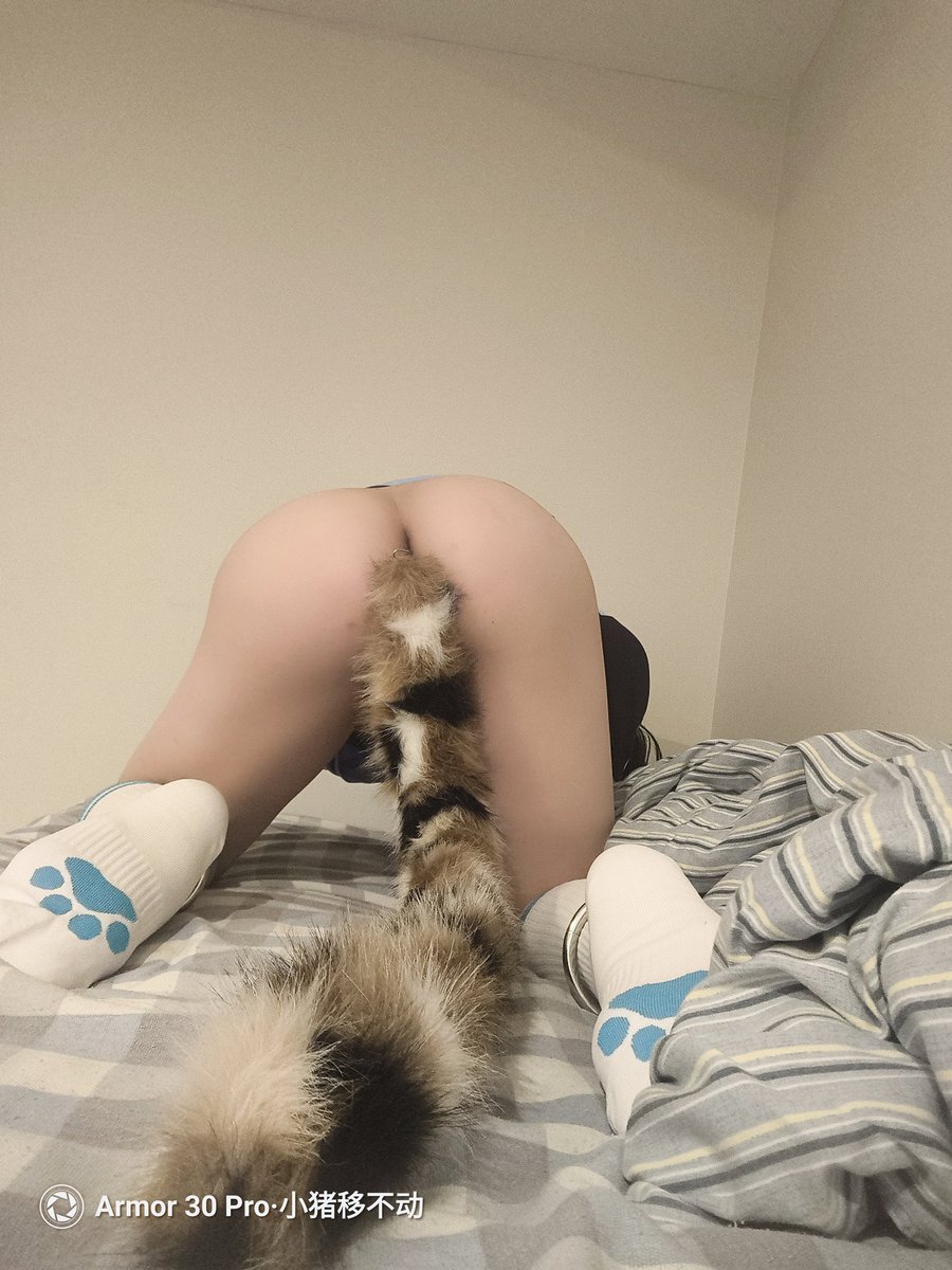 江晚陇寒烟 tweet media