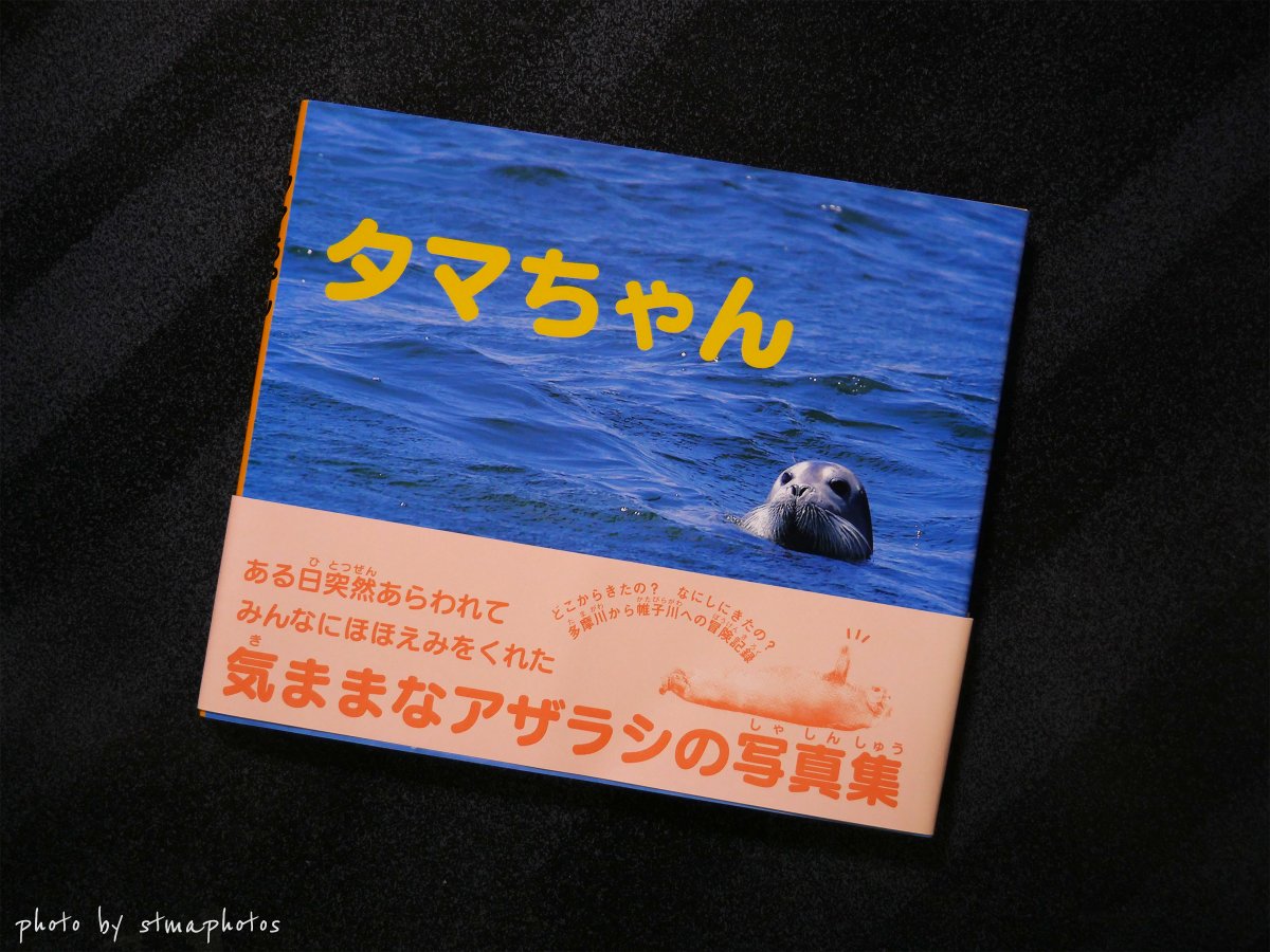 stmaphotos@横須賀市民になりました! tweet media