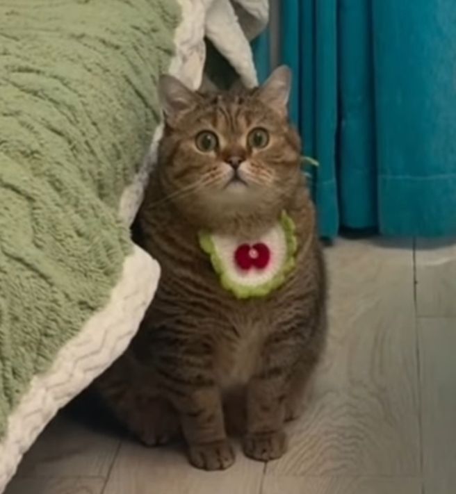 vx-underground tweet media