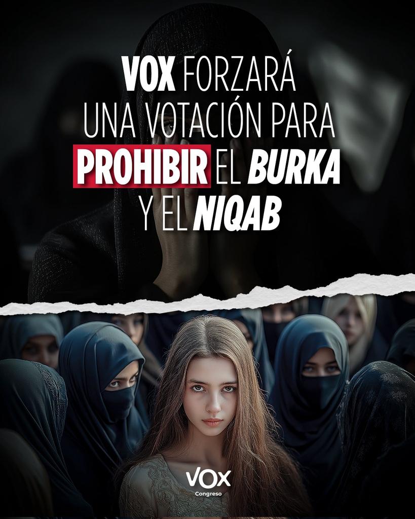 David - Seguridad Nacional tweet media