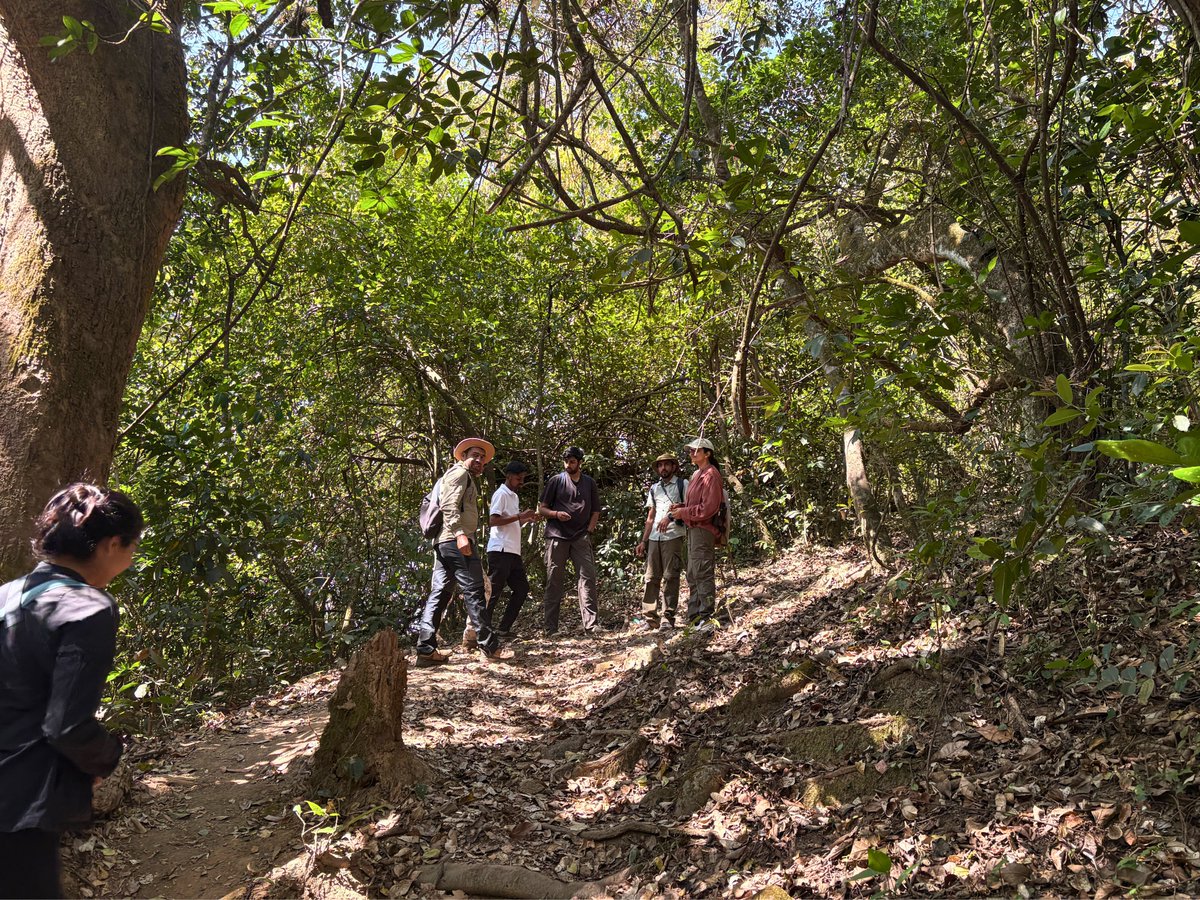 WCS-India tweet media