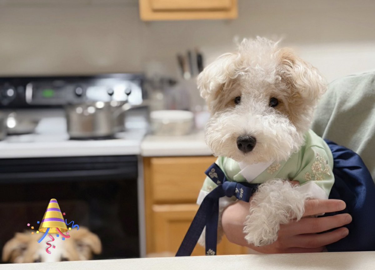 호밀빵의 파수꾼 tweet media