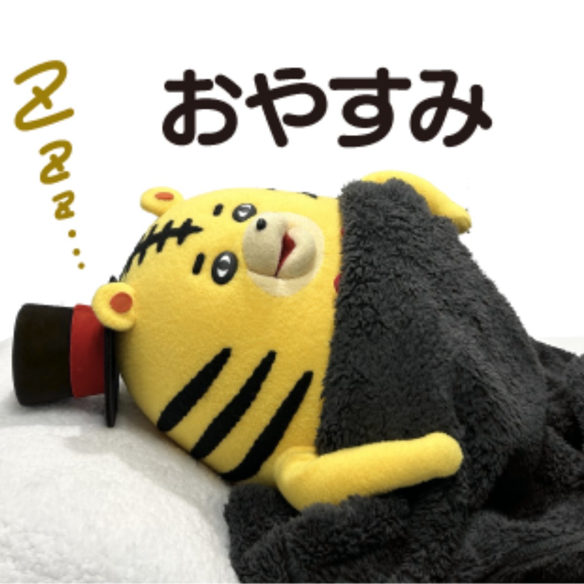 「みんなおはよう～。今日は『安眠の日』だって～…ってことで二度寝するね、おやすみ～🐯💤」

たいがさんのこの画像が使えるLINEスタンプは好評販売中です！（お世話係）
store.line.me/stickershop/pr…