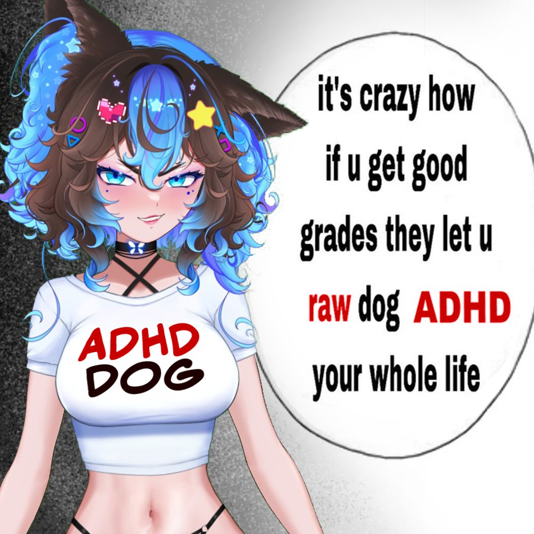 DipperDog tweet media