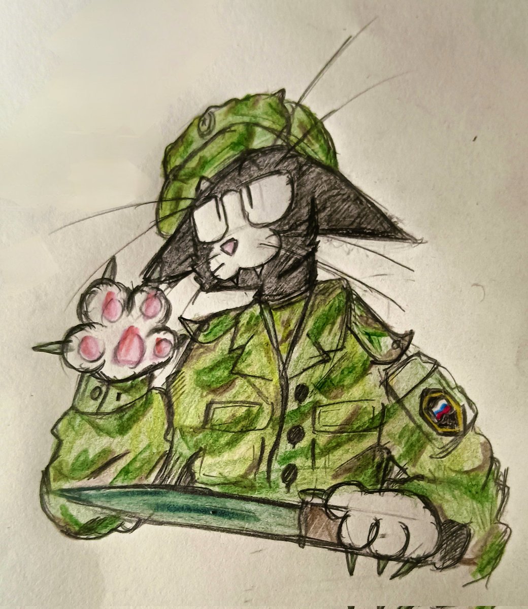 Obliquefish's tweet photo. 俄罗斯🇷🇺神经质奶牛哈基米🐱VSR迷彩服，大狗大狗叫叫叫叫
#furry #奶牛猫 #cat #服装 https://t.co/N6E8m1gXm9
