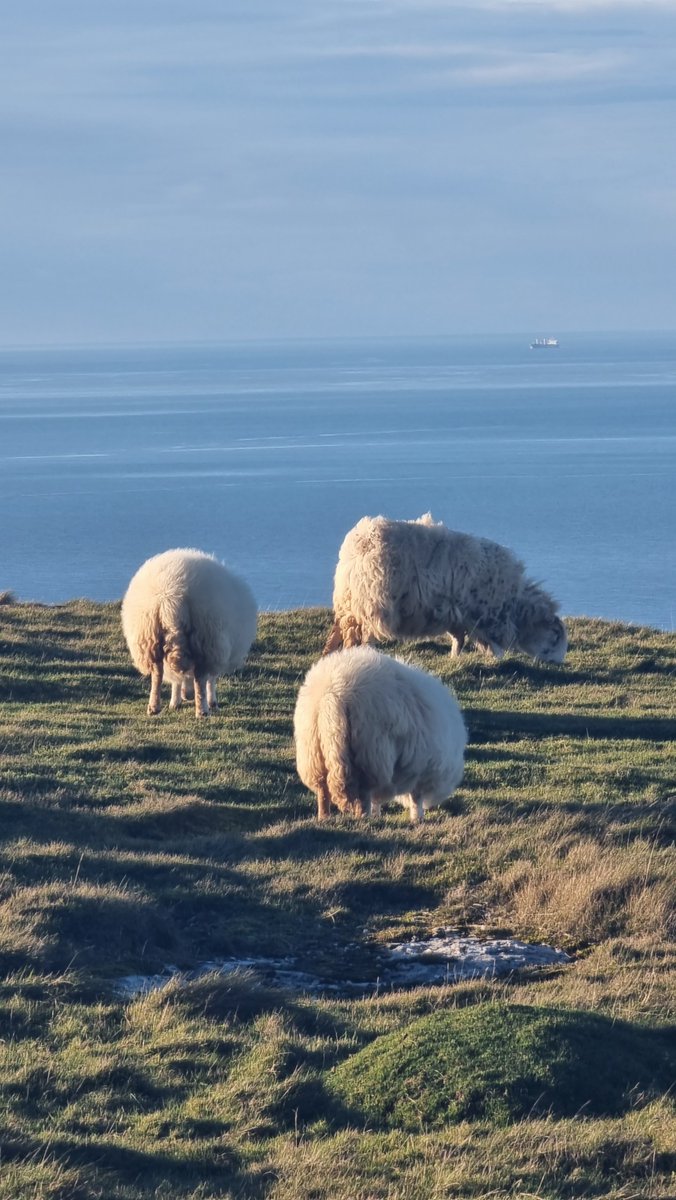 Juned Patel tweet media