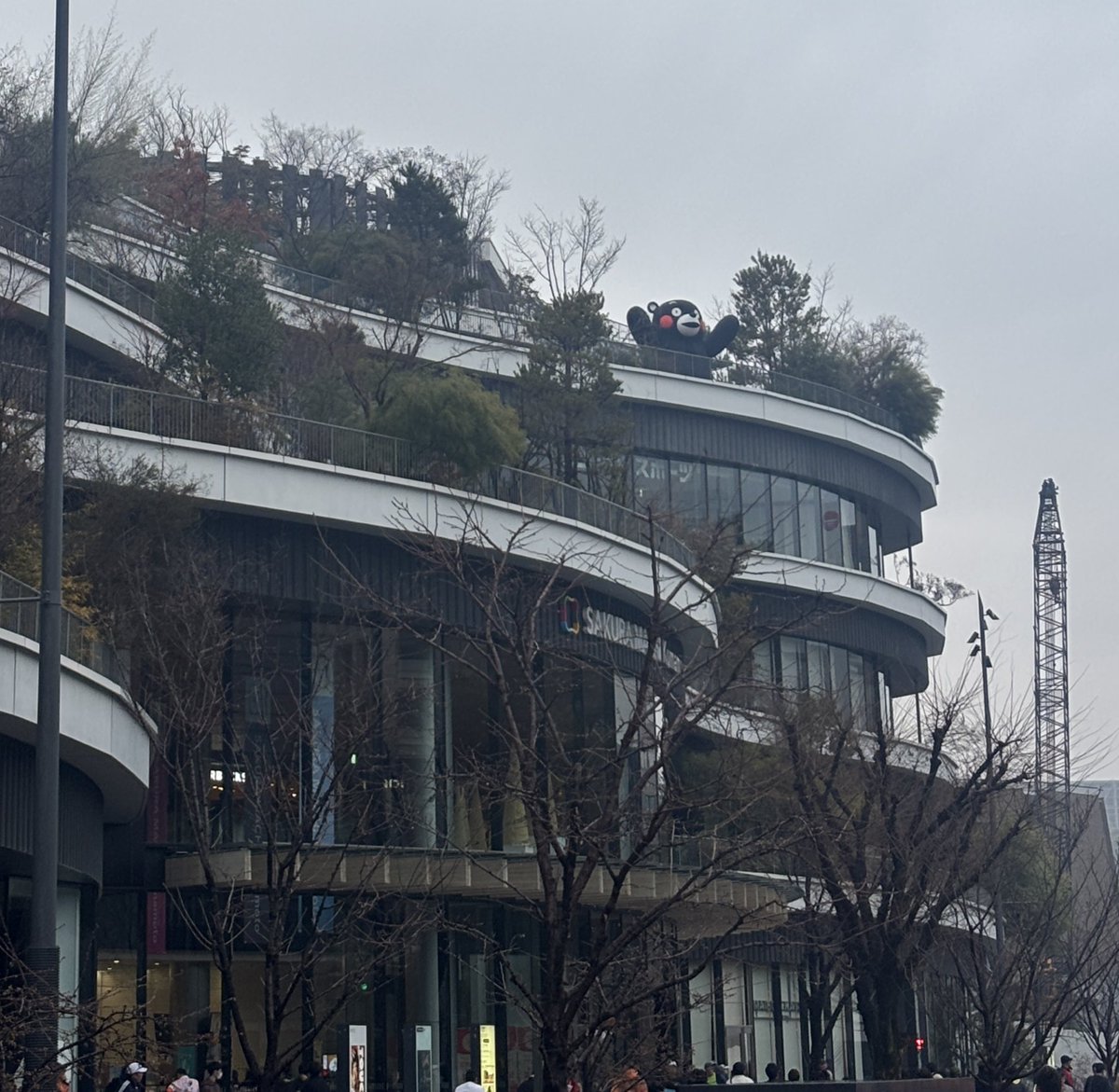 サッコ tweet media