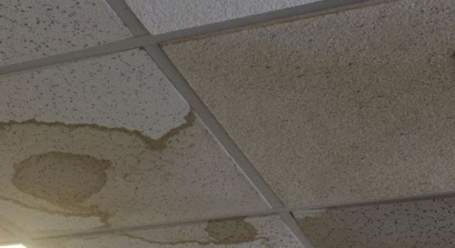 MythoAmerica 🌲 (@mythoamerica) on Twitter photo 