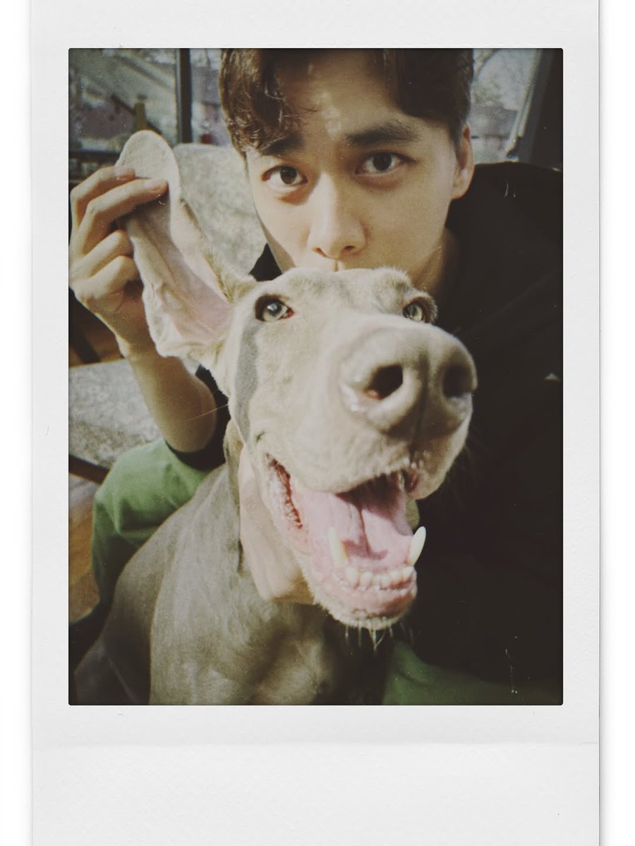 Alittlebottle54's tweet photo. #happynewyear 🐴🐎 #LiYifeng  #李易峰  #LYFENG  #lyf   #이역봉  #りいふう  #หลี่อี้เฟิง  #リーイーフォン  #LýDịchPhong #loveyouforever #evanyifenglee ❤️❤️ https://t.co/1ii4LrifHj