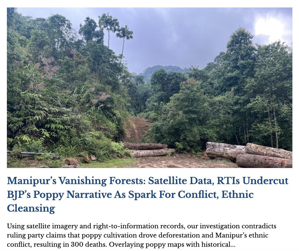 Article 14 tweet media