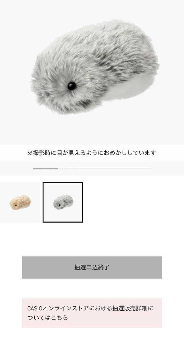ROA202108's tweet photo. ラボットは管理？とか結構お金かかるみたいだったし他のを〜って前に探してて見つけたモフリン👀✨
買おうと思ってた時もあったんだけど今見たら抽選になってた😵
そんなに人気なんだなぁ…

しかもちょうど昨日抽選終わってたw https://t.co/c9tAPGyGM5