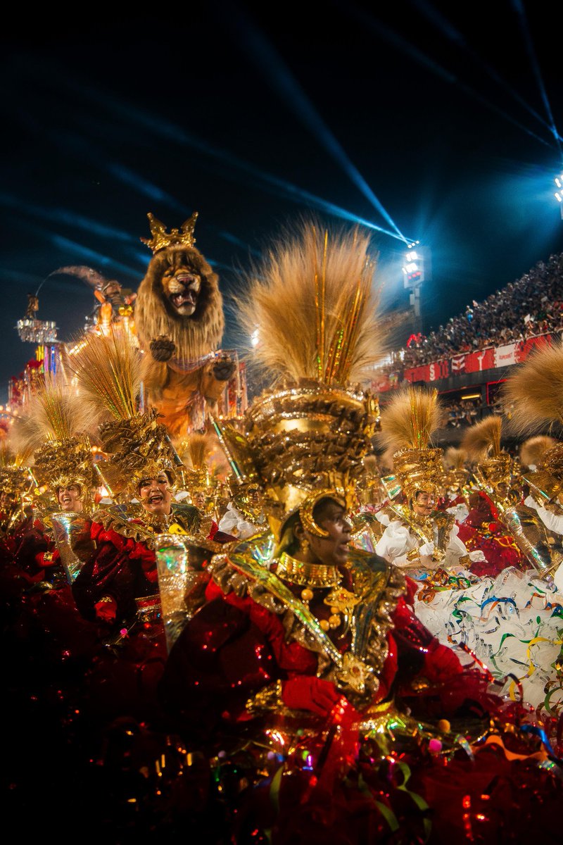 Carnavalize tweet media