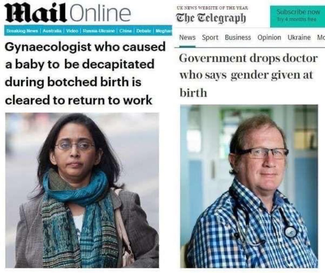 The Rabbit Hole tweet media