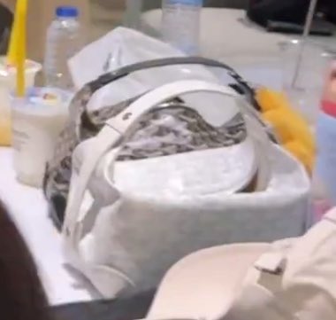 so cute🥺They like to put things together.

#LingOrm #หลิงออม