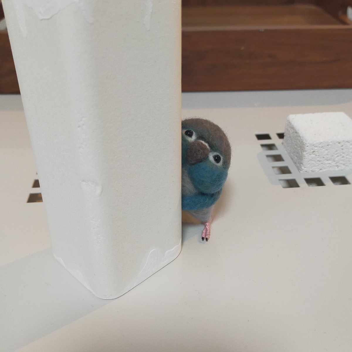 うちのどの子とも仲良くせず 同じウロコインコに関しては排除しようと