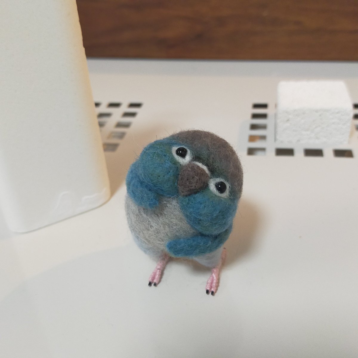 うちのどの子とも仲良くせず 同じウロコインコに関しては排除しようと