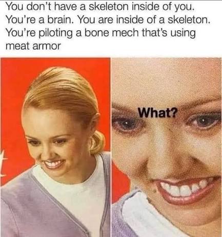 <a href="/elonmusk/">Elon Musk</a> <a href="/vivianmshen/">Vivian Midha Shen</a> <a href="/farzyness/">Farzad 🇮🇷</a> We are all technically bone mechs pilots with meat armor 🤣