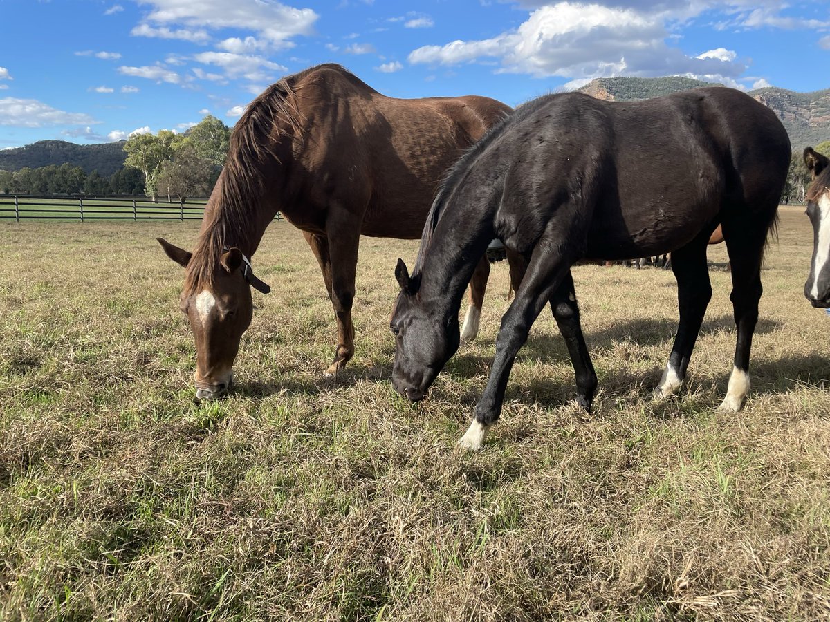 Neil Jenkinson tweet media