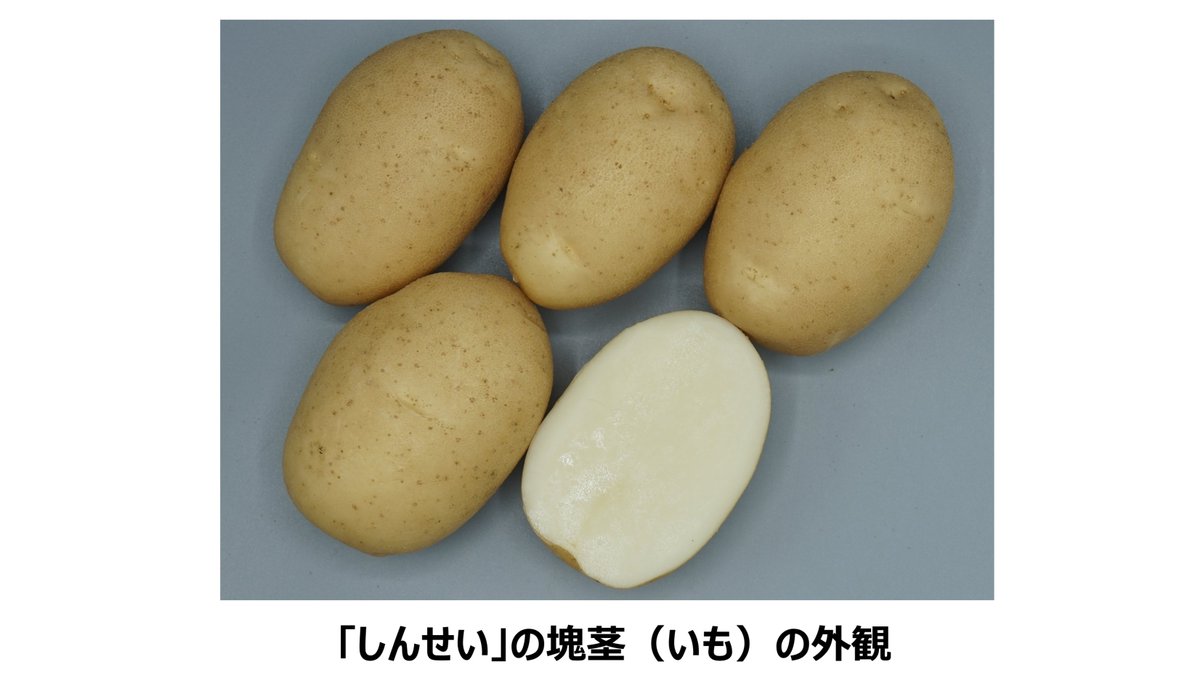 NARO_JP tweet picture