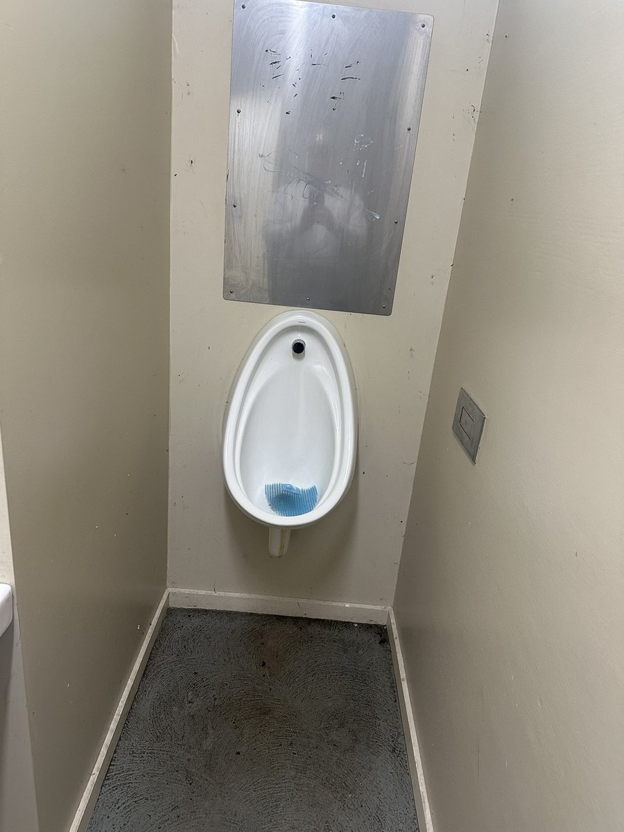 Dans Gay tweet media