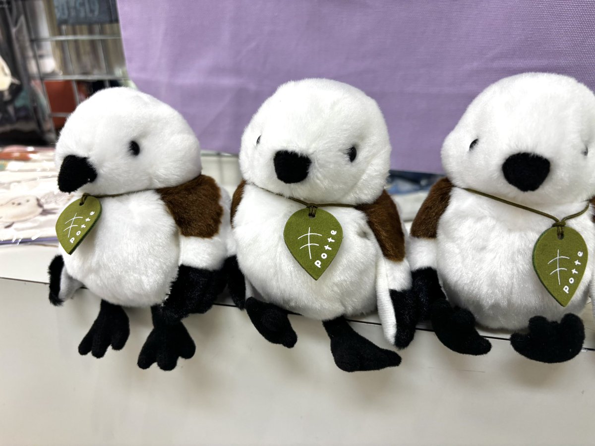 株式会社ことりカフェ【公式】鳥フェス広島4/4-5 tweet media