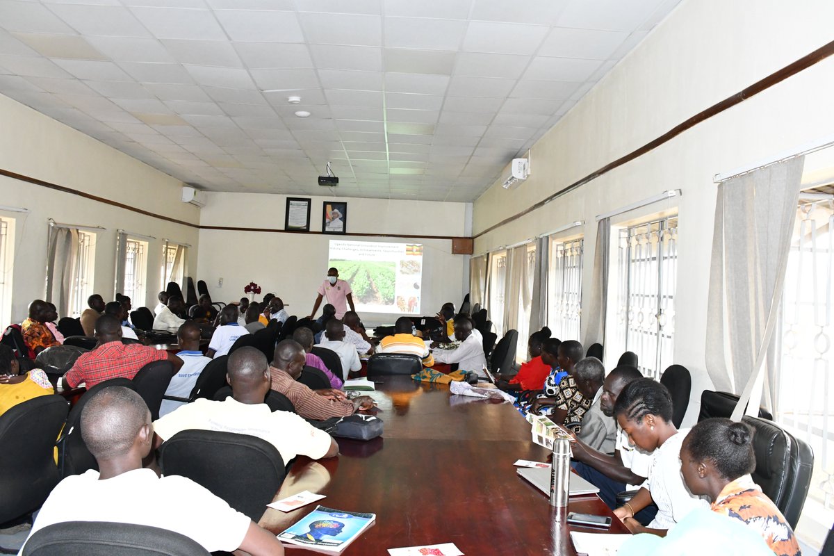 SOCADIDO tweet media