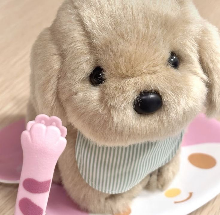 หนูเจค ???