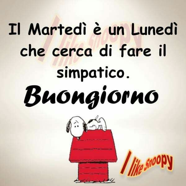 Gabriella R Romanelli (@gabraro) on Twitter photo 