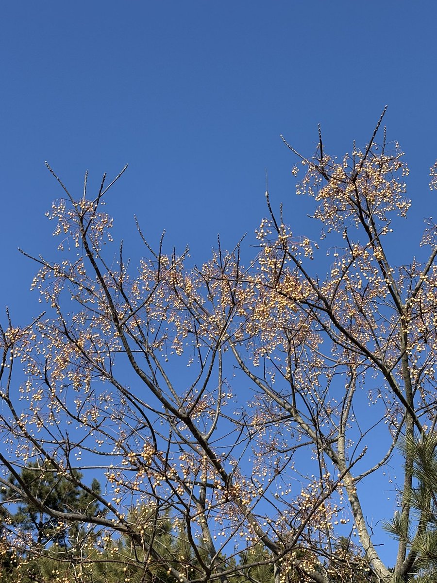 성묘가는 길이었다. :)