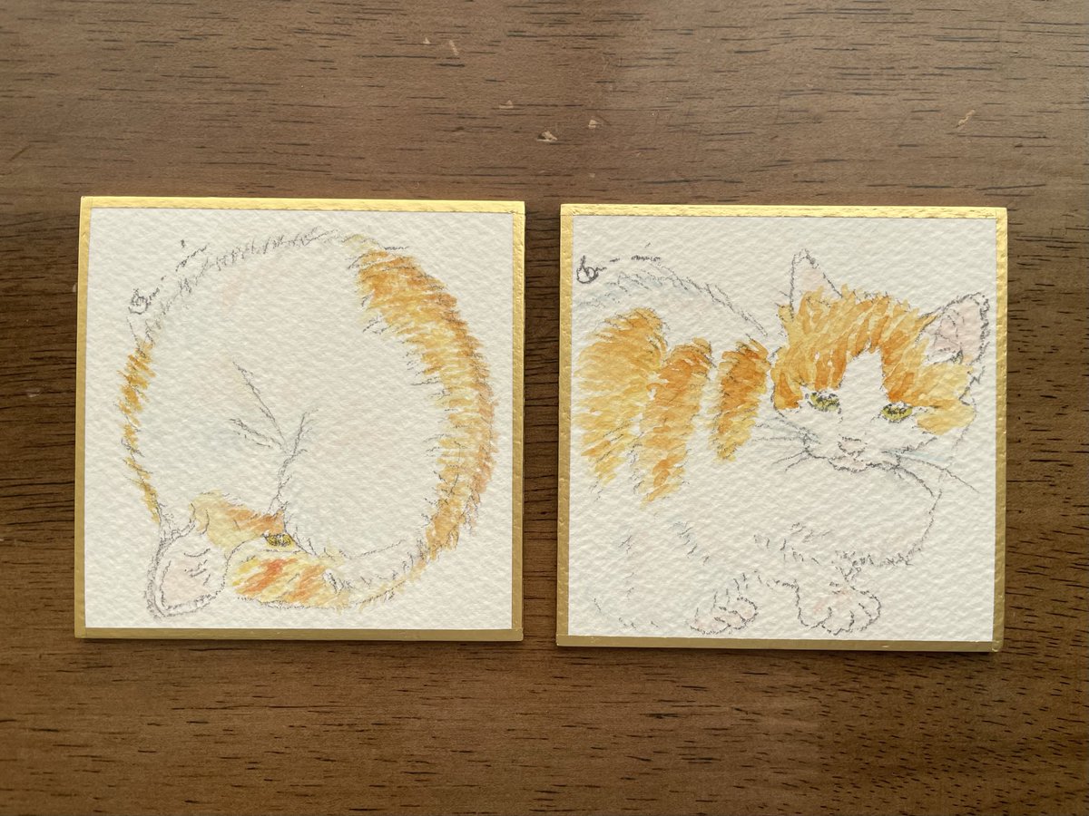 ふーみん (@tatsuka_ft) / Posts / X