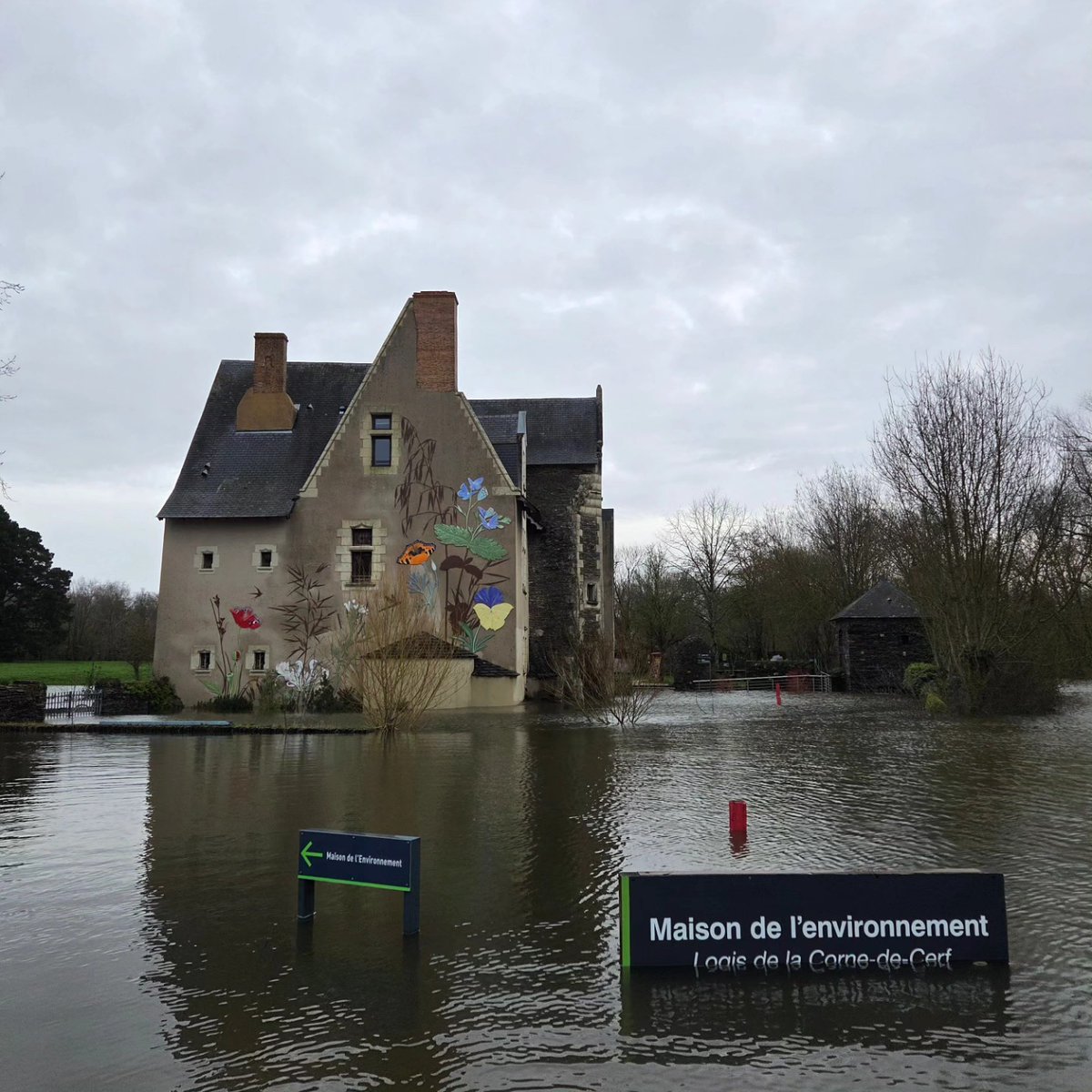Ville d'Angers tweet media