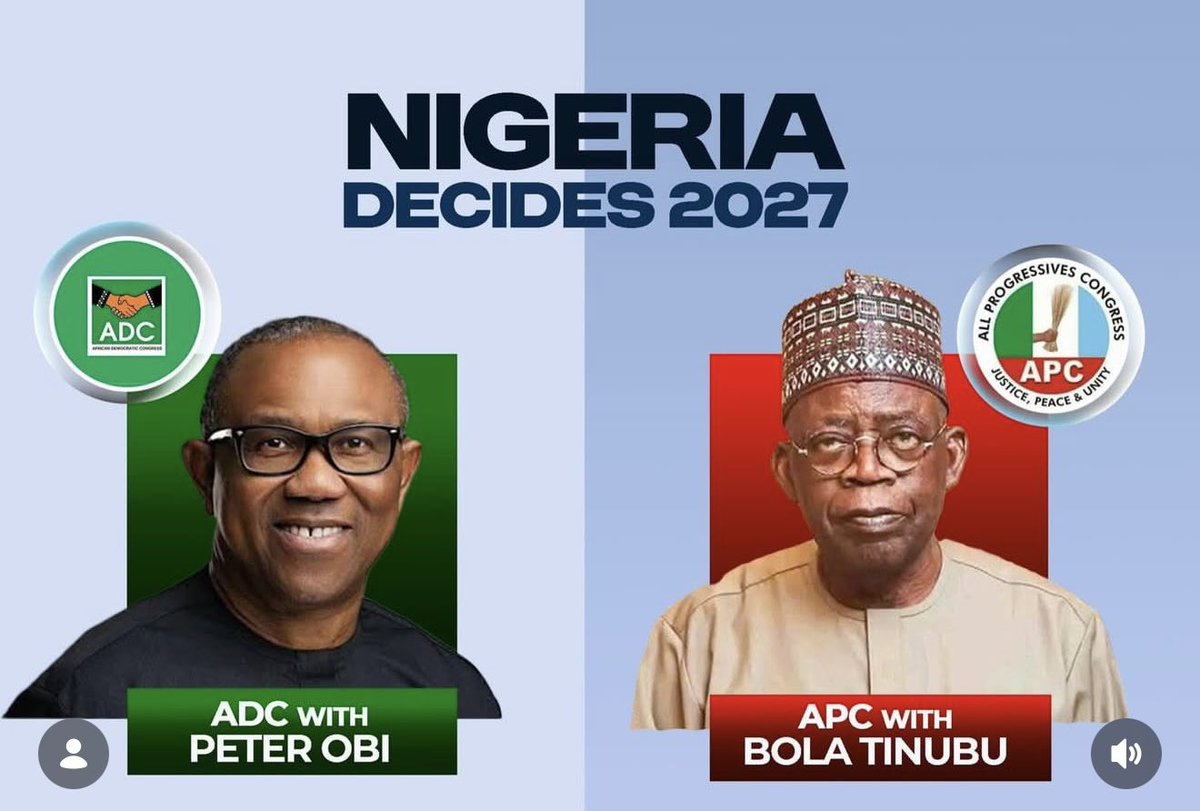 segun_flexible's tweet image. I want to check something:

Repost for Peter Obi.         Like for Tinubu
