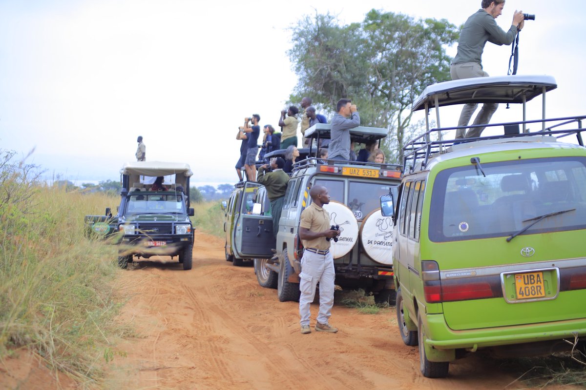 WildCreaturesug's tweet photo. VEHICLES &amp; COMFORT
Comfort and safety matter on safari. 
Our 4x4 safari vehicles are designed for some viewing, long drives, and rough terrain ensuring a smooth experience throughout your journey. @WildCreaturesug 
https://t.co/0kxoDdTkiC 

#safarivehicle https://t.co/ygrPou8XXE
