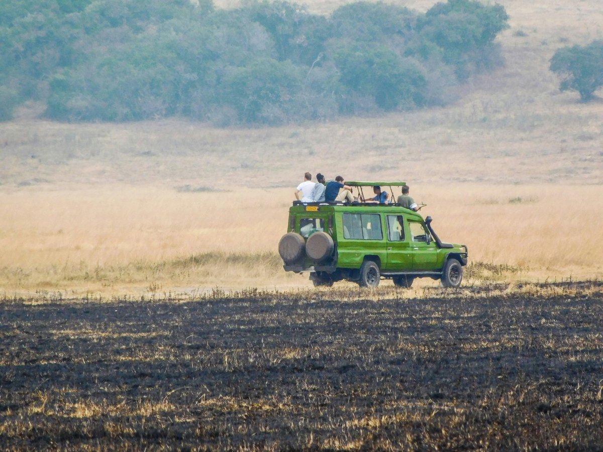 WildCreaturesug's tweet photo. VEHICLES &amp; COMFORT
Comfort and safety matter on safari. 
Our 4x4 safari vehicles are designed for some viewing, long drives, and rough terrain ensuring a smooth experience throughout your journey. @WildCreaturesug 
https://t.co/0kxoDdTkiC 

#safarivehicle https://t.co/ygrPou8XXE