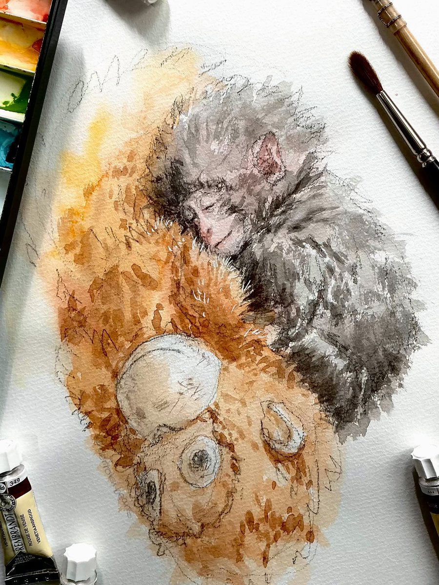 でんちゃん⚡️🥷@D6-B🦁 tweet media