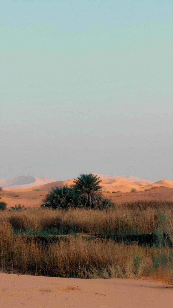 فرحان الشلوي tweet media