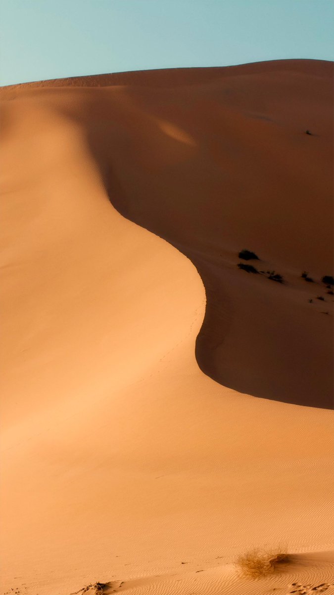 فرحان الشلوي tweet media