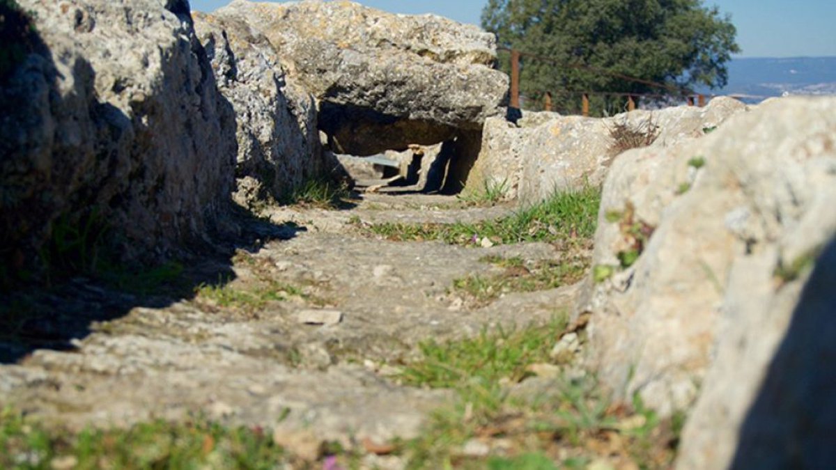 📌 Visita guiada 'Viure i morir fora muralles' a Olèrdola, organitzat pel <a href="/macarqueologia/">Museu d'Arqueologia de Catalunya</a> 

📆 Diumenge, 22 de febrer
⏰ 11 h

👉 patrimoni.gencat.cat/ca/activitat/v…
