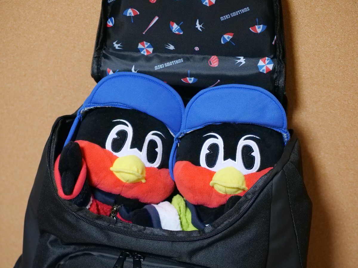 Swallows Crew 2026入会記念品到着? プラチナ民のﾜﾀｸｼ、 カテゴリーA 