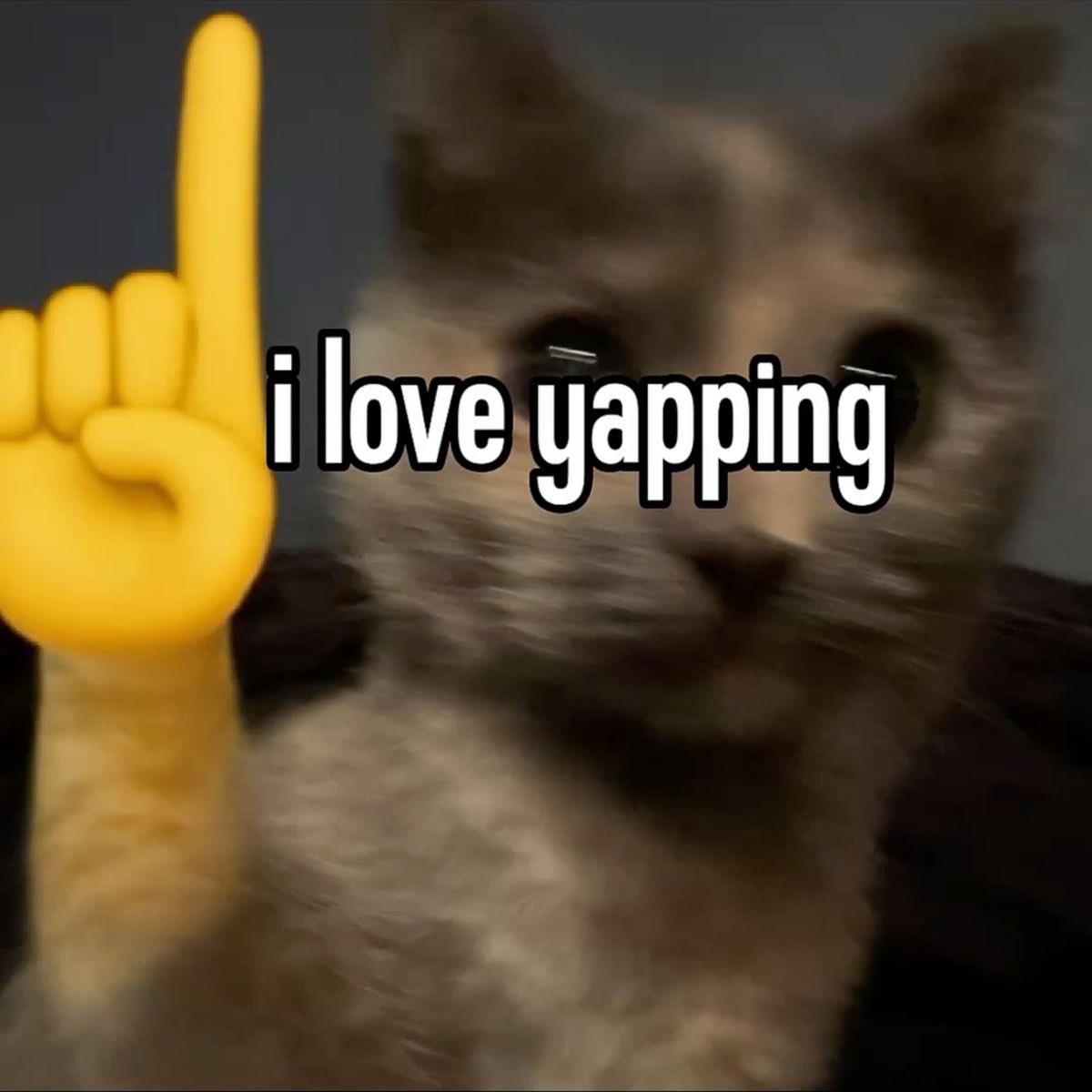 yappingfess's tweet image. mumpung imlek dan sy berbaik hati jadi mau open follback banyak buat yappers 

repost ini + reply nanti difollback
*random