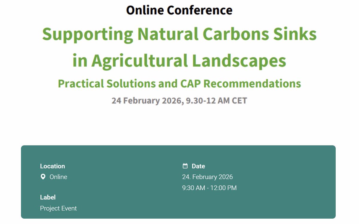 ReForest Project tweet media