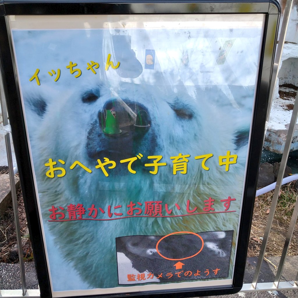 可愛すぎるなぁ
2021.1
#天王寺動物園 #TLをゴーゴでいっぱいにしよう #ゴーゴ大好き