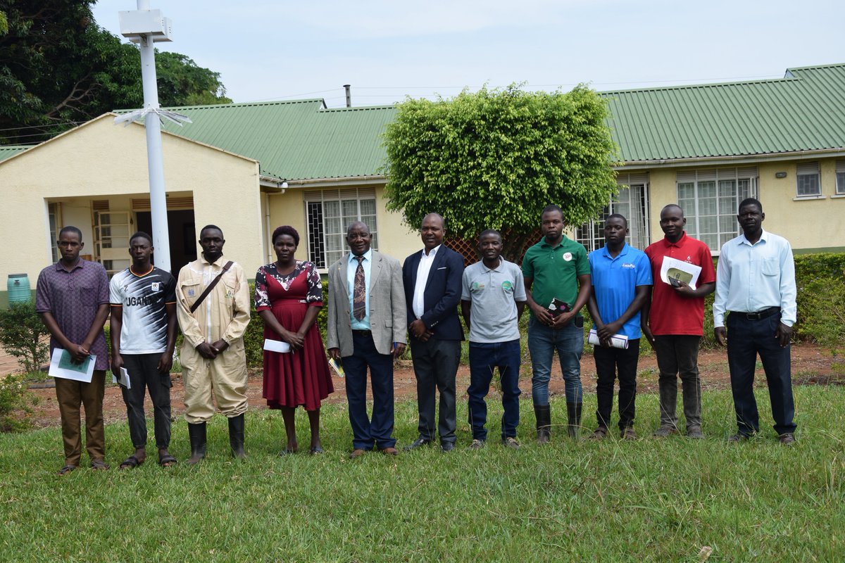 Bulindi ZARDI tweet media