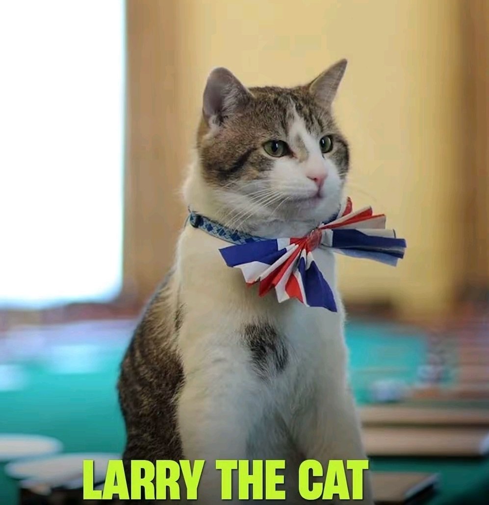 Larry should be the next Prime Minister of United Kingdom