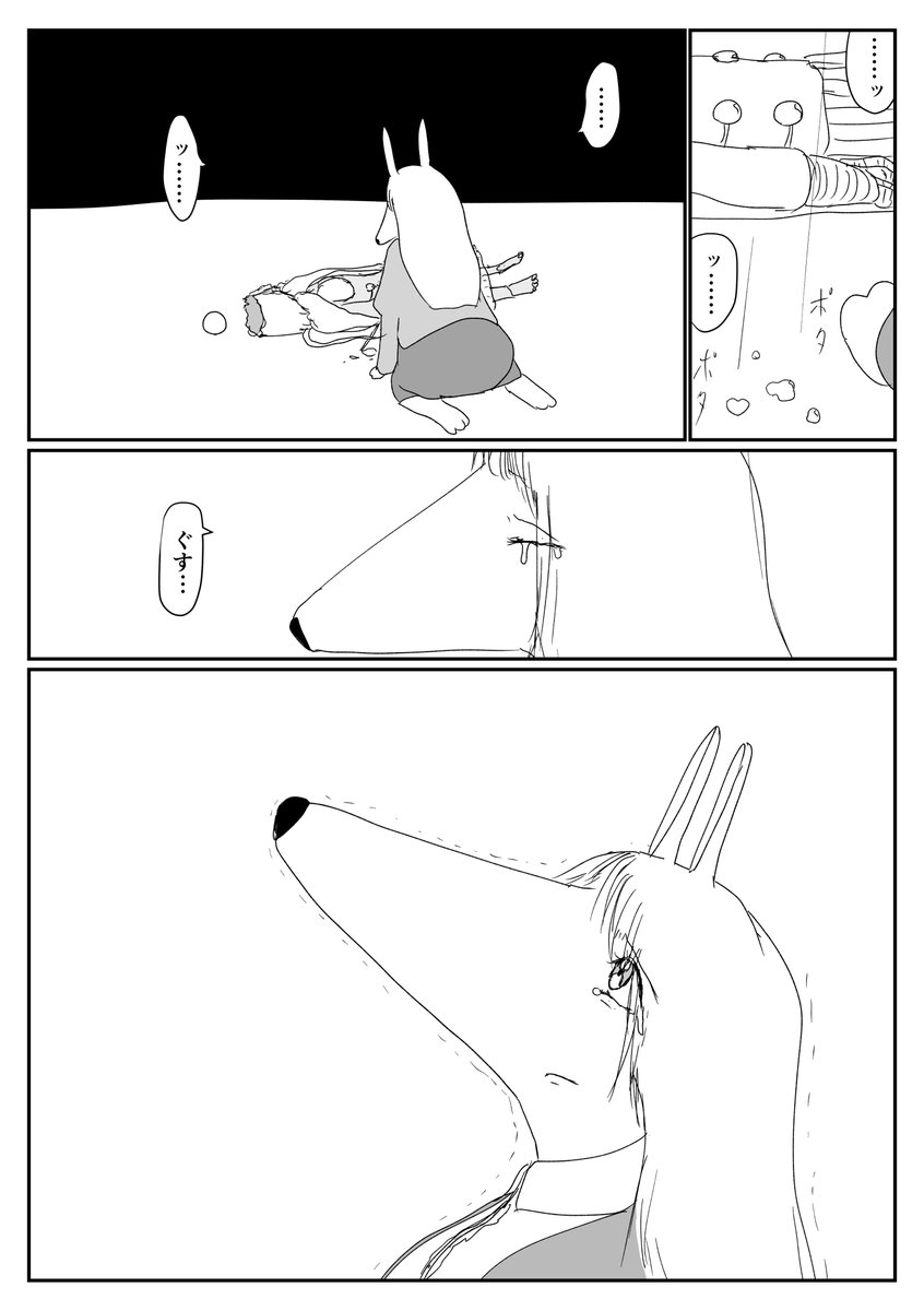 5/5 