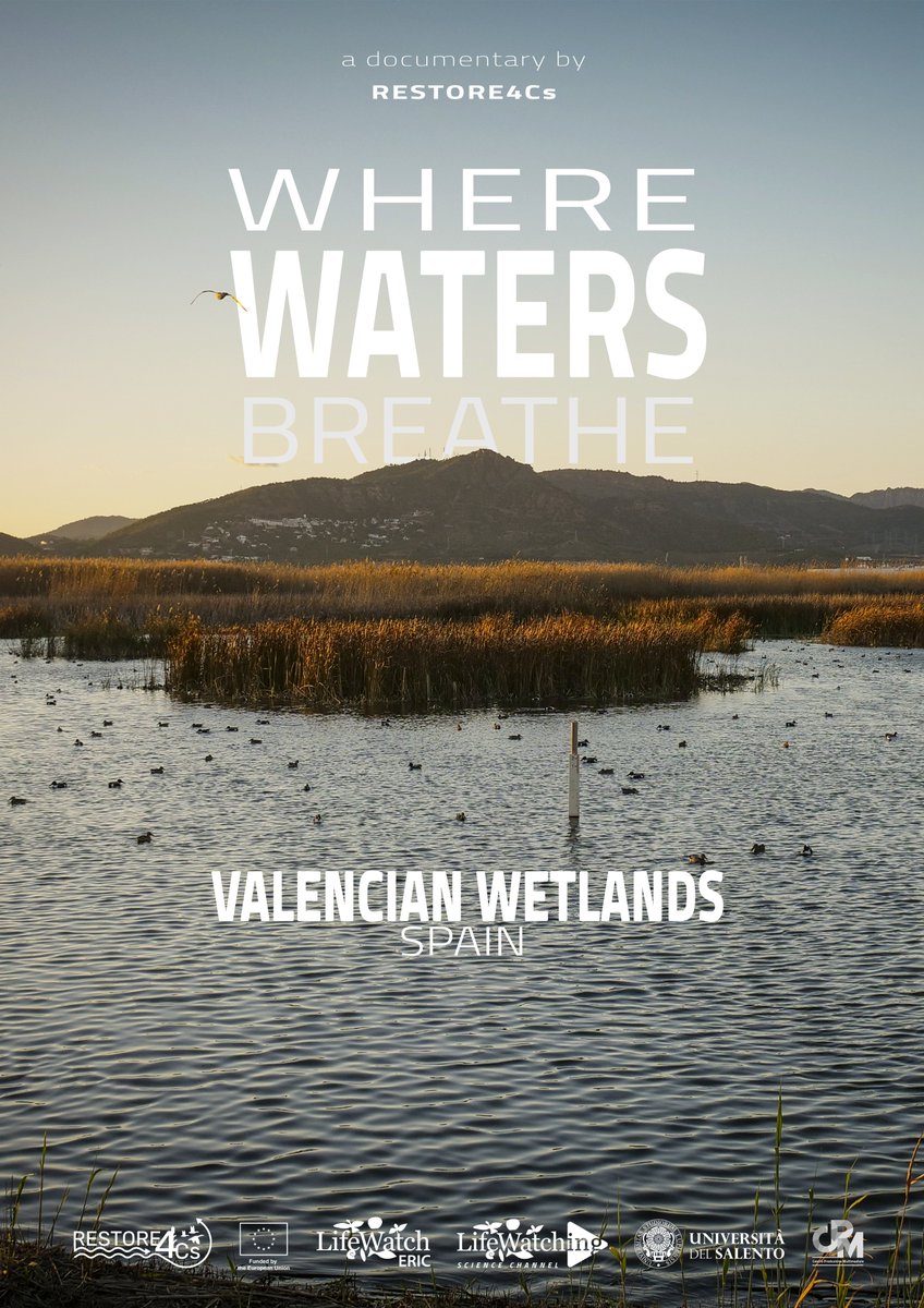 RESTORE4Cs tweet media