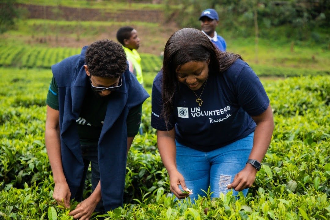 UNV East and Southern Africa tweet media