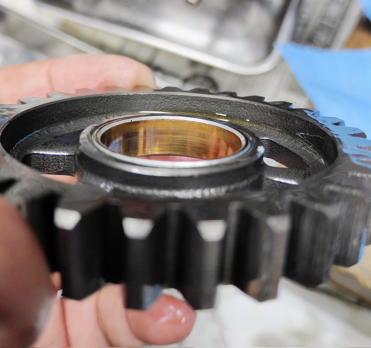 sachi (@sachi19564918) / Posts / X