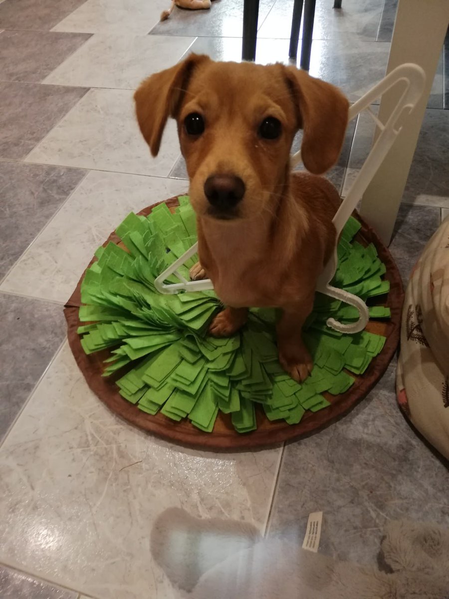 Elena Blanes tweet media