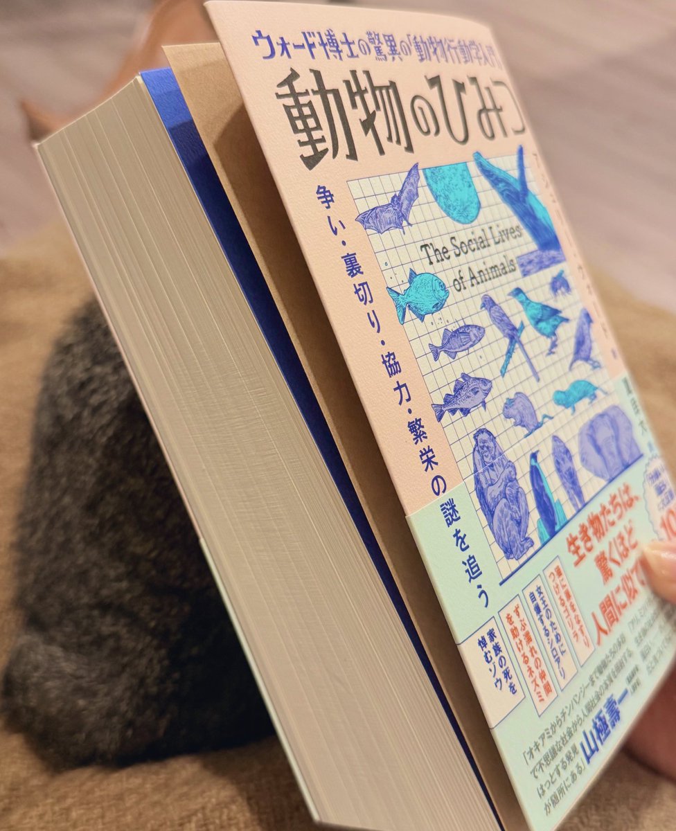 気になっていた本を本屋さんで見かけて購入した。こんな辞書みたいな厚みだと思っていなくてびっくり！面白そうゆっくり読み進めよう〜